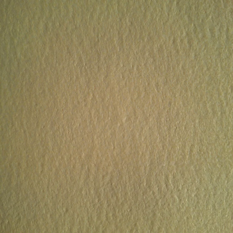 شعرت الإبرة PPS مع غشاء PTFE